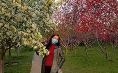 9·1高危风险免费版网站nba